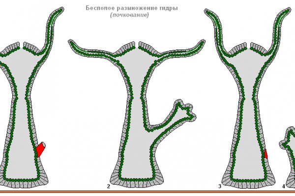 Кракен в обход