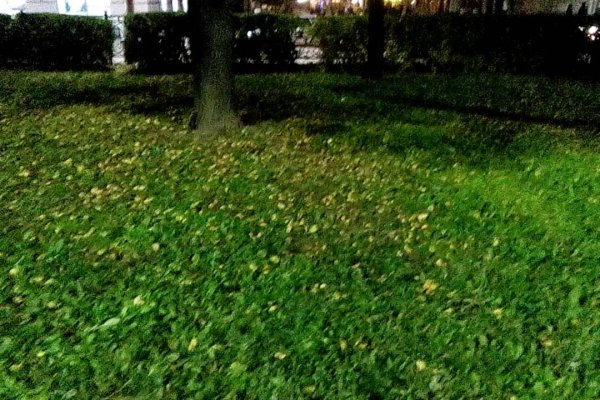 Рабочая ссылка на кракен