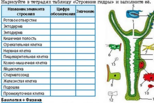 Ссылка на кракен официальный