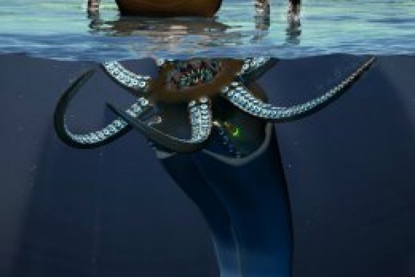 Kraken ссылка tor официальный сайт