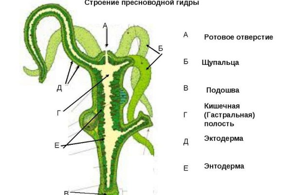 Кракен сайт что это